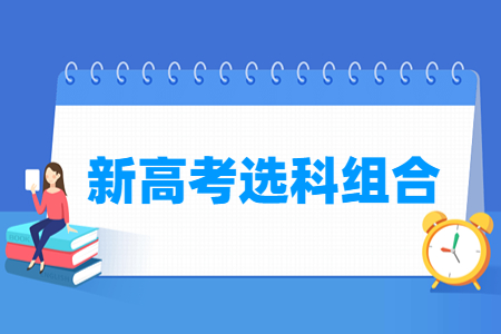 湖北新高考选科组合有哪些