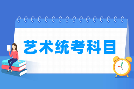 2024宁夏艺术统考科目有哪些 总分多少分